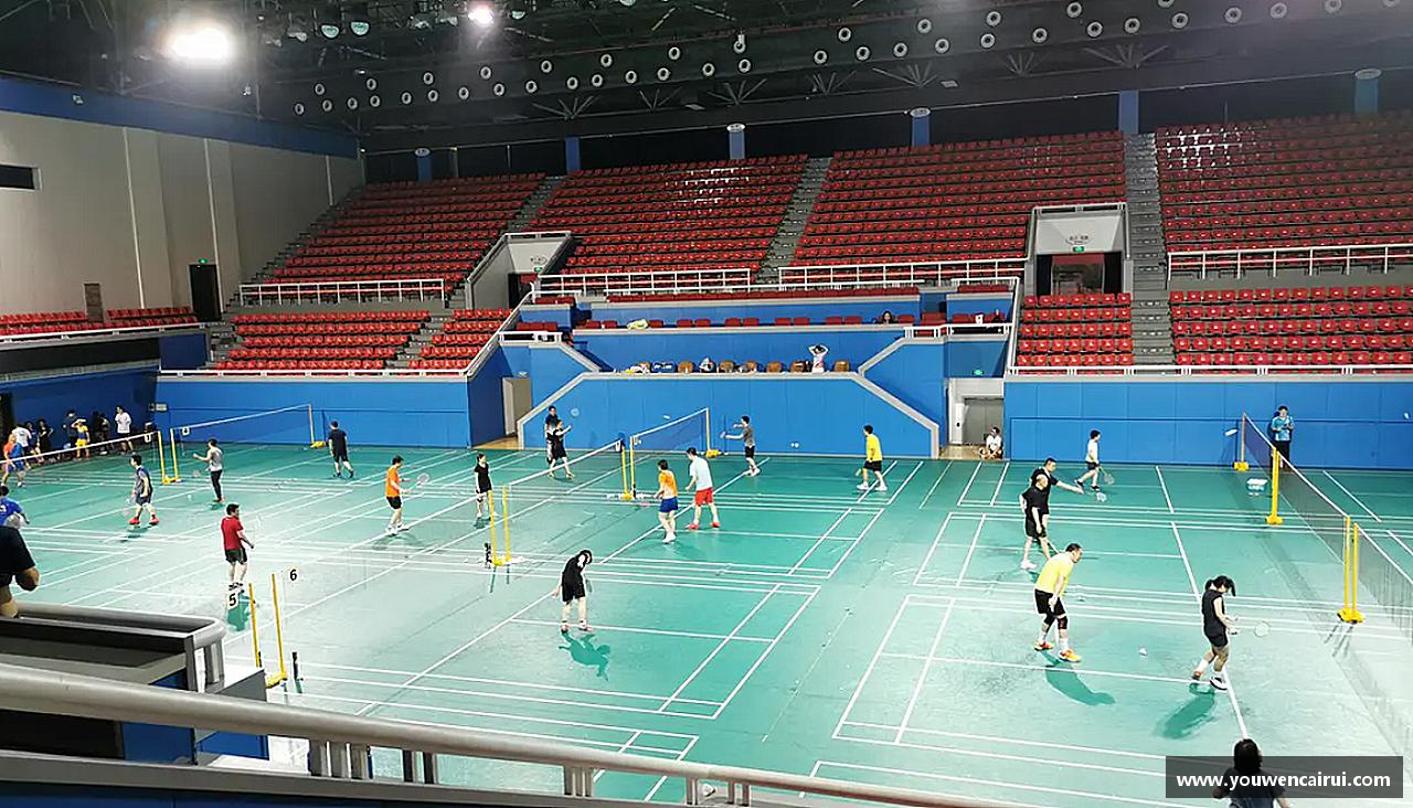 乐动LDSports综合体育奋勇向前，梦想无限